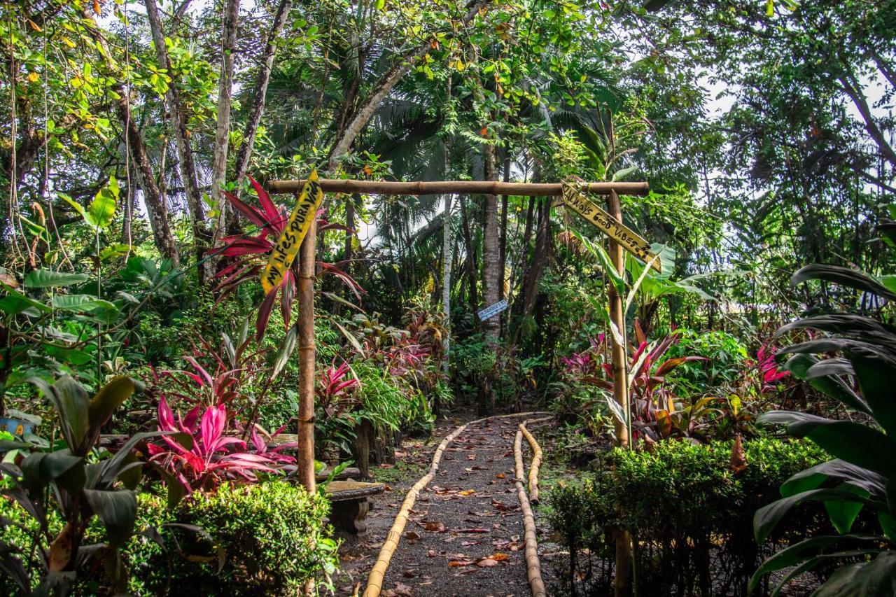 La Palapa Hut Nature Hostel Puerto Jimenez Exterior photo