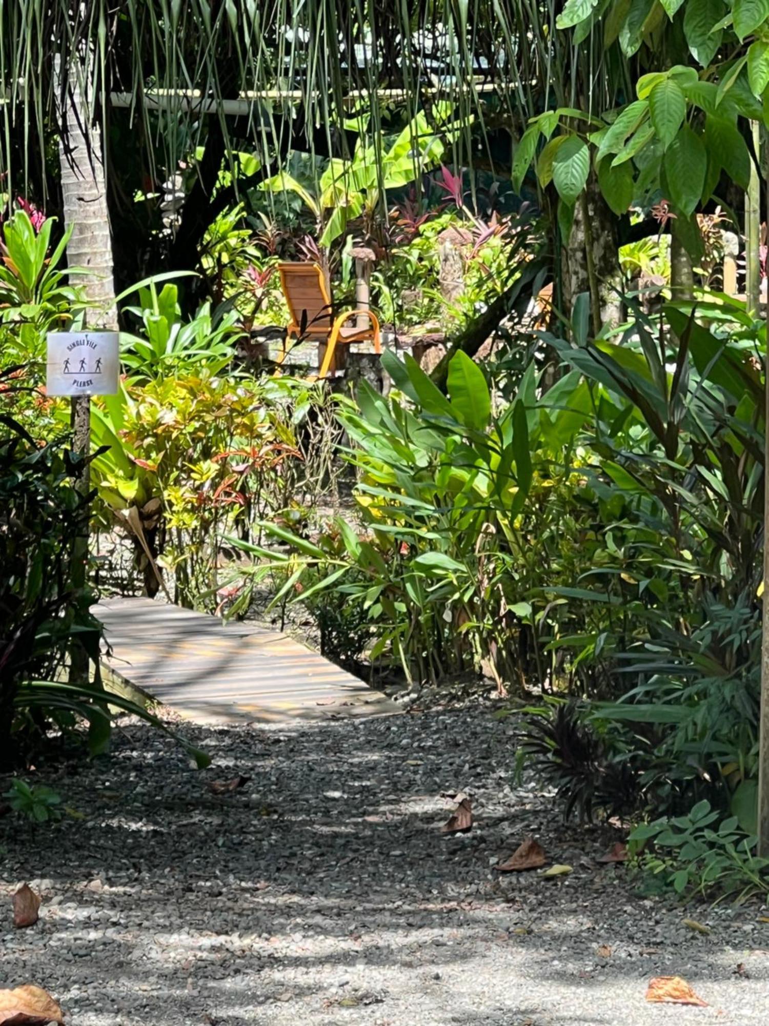 La Palapa Hut Nature Hostel Puerto Jimenez Exterior photo